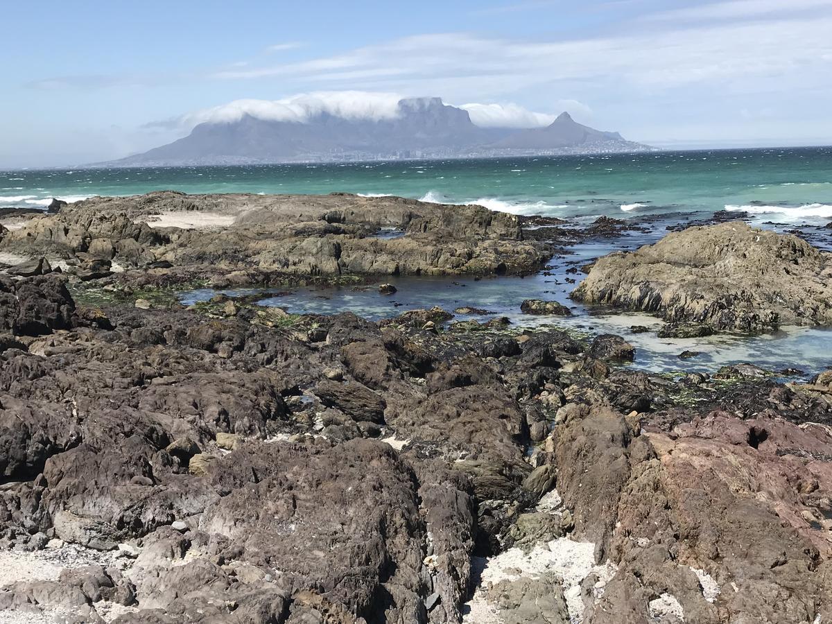 Atlantic Haven Διαμέρισμα Bloubergstrand Εξωτερικό φωτογραφία